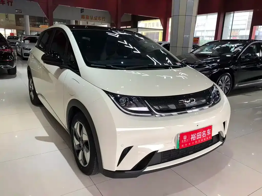 BYD Dolphin 2024 из CN, фото 4