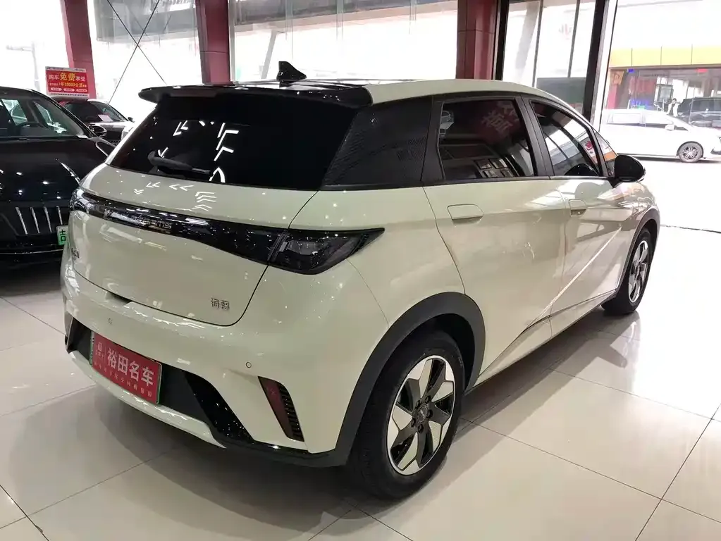 BYD Dolphin 2024 из CN, фото 10