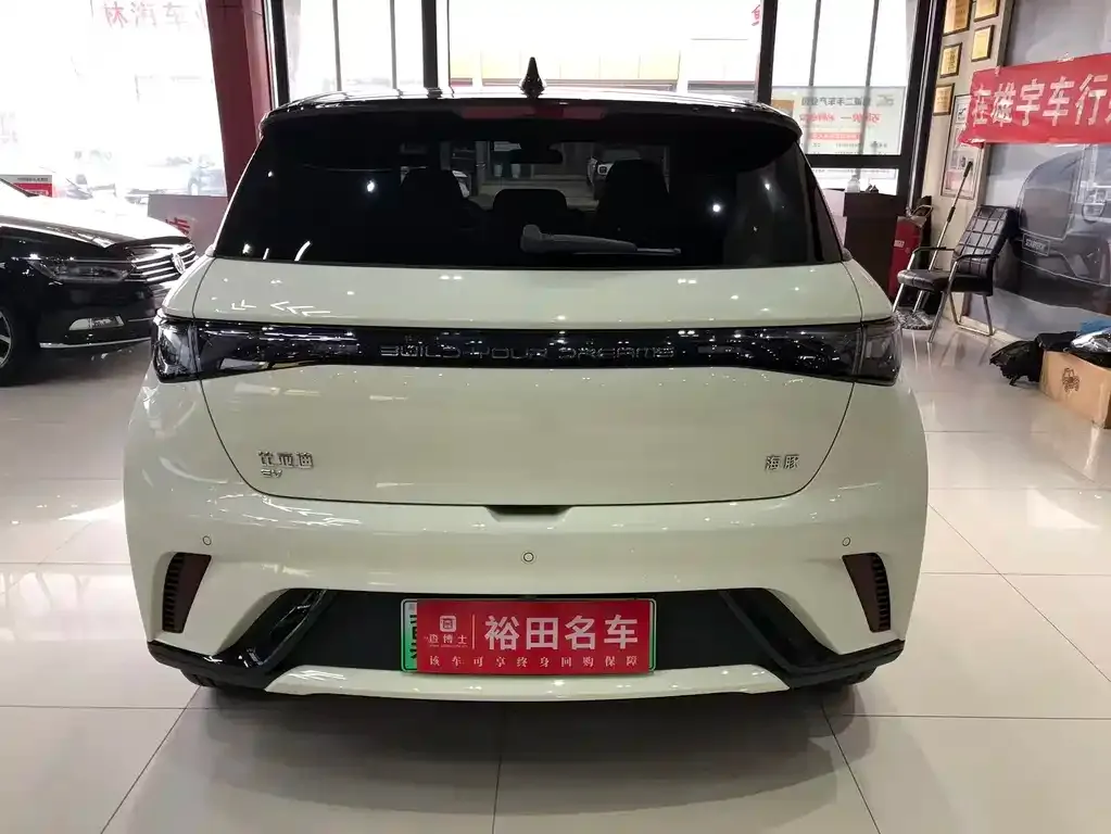 BYD Dolphin 2024 из CN, фото 9