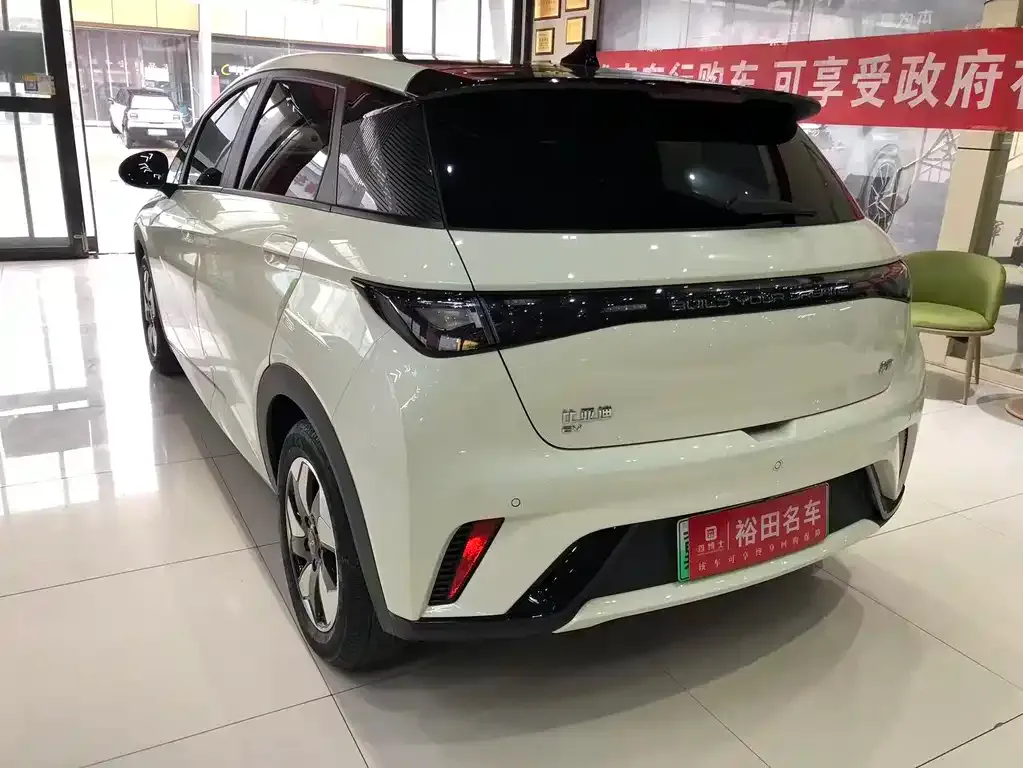 BYD Dolphin 2024 из CN, фото 8