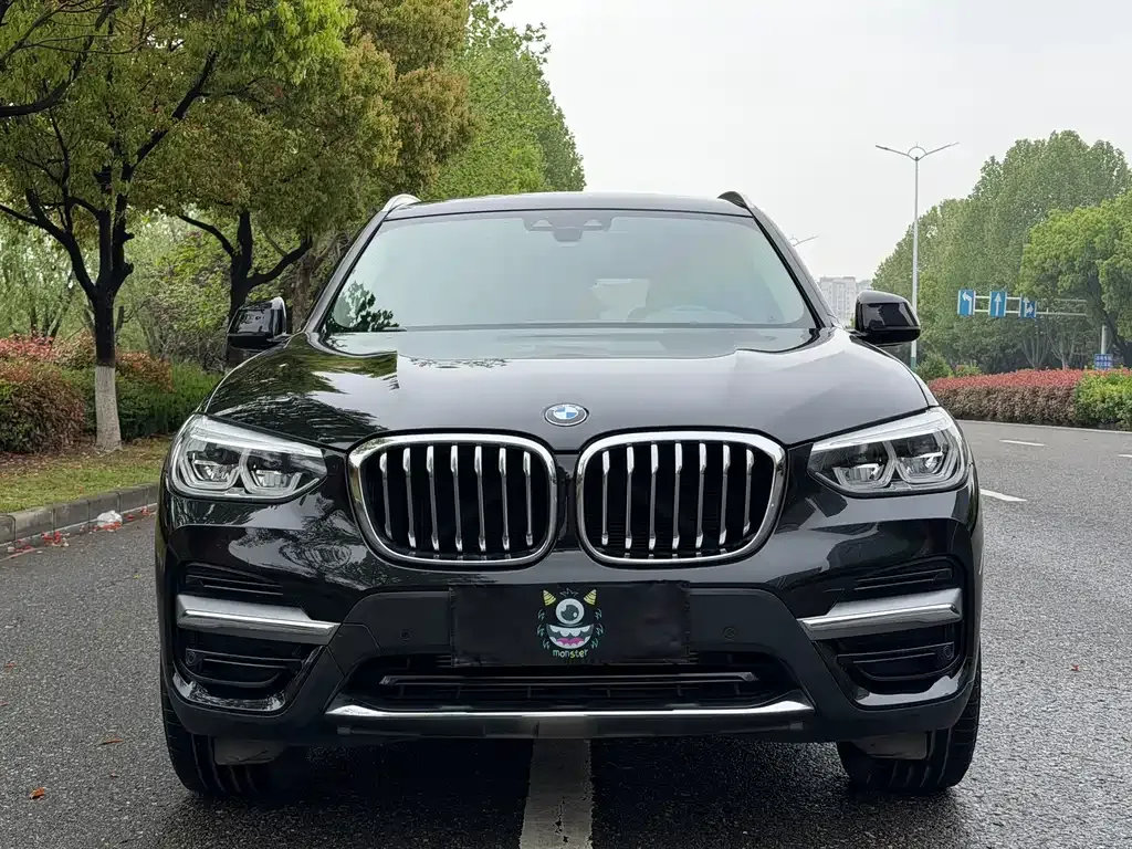 BMW X3 2021 из CN, фото 8