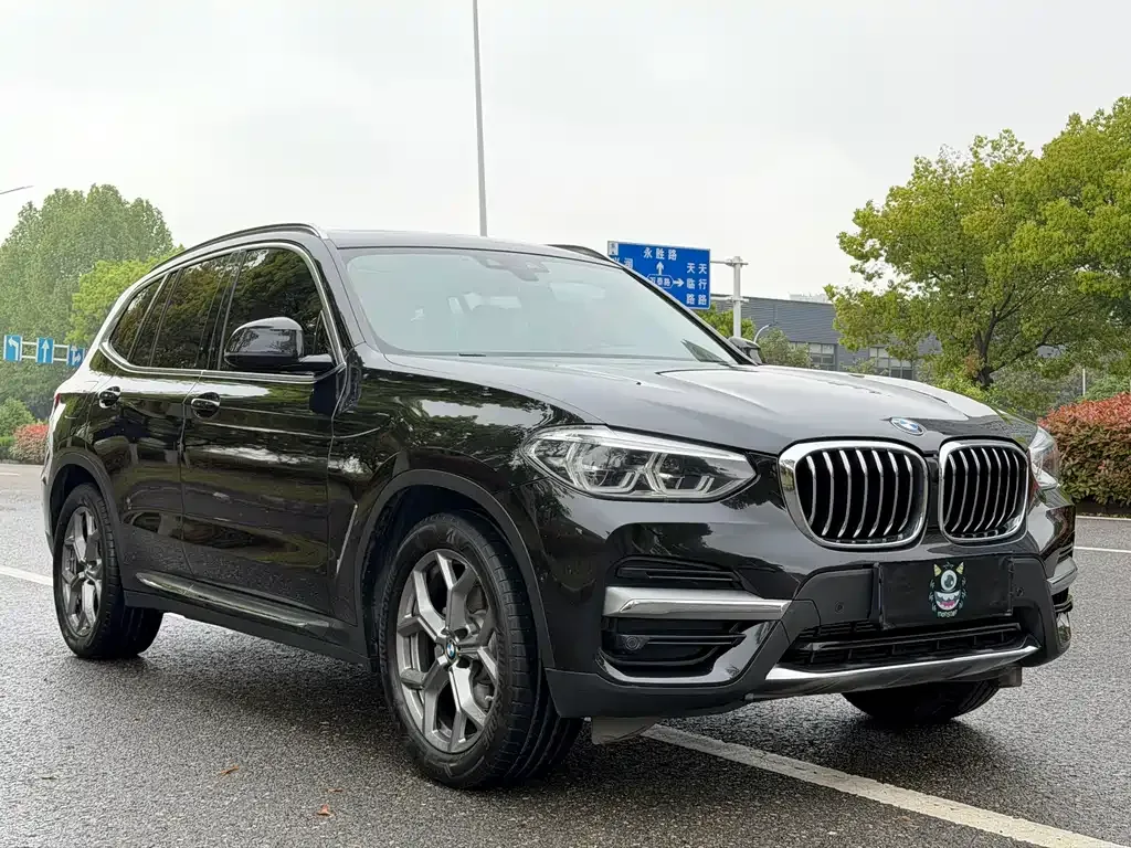 BMW X3 2021 из CN, фото 6