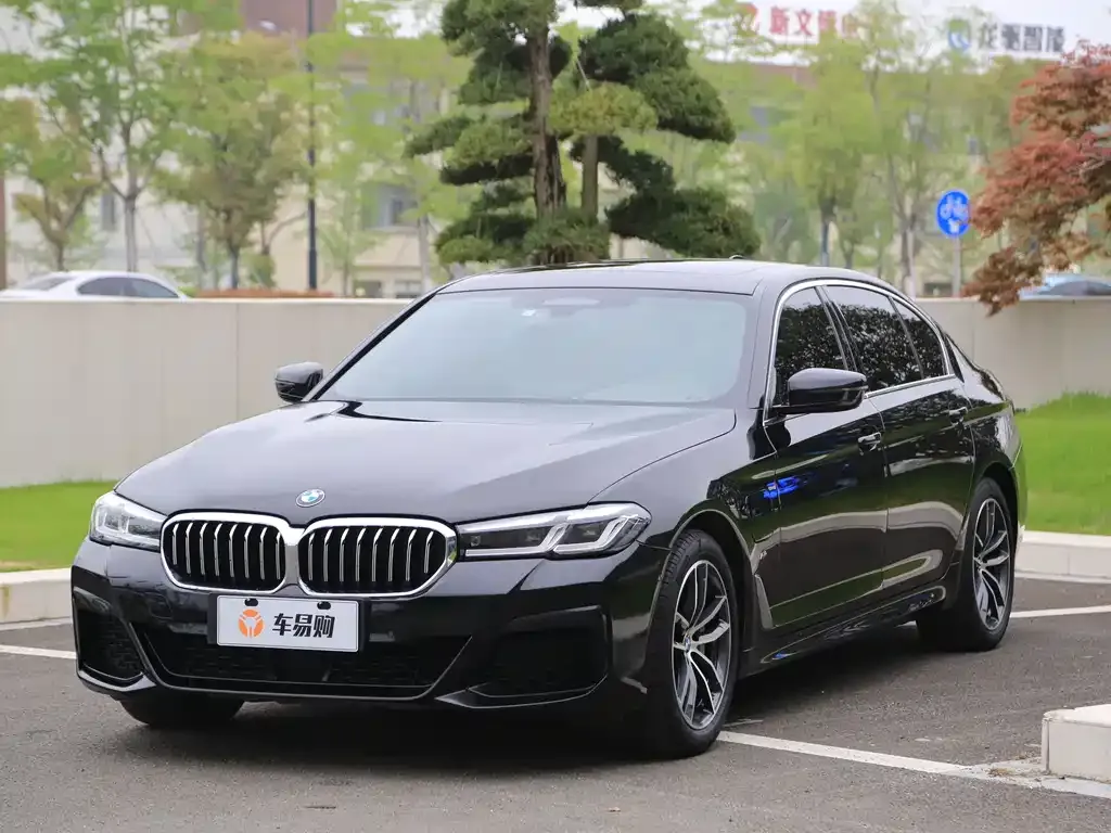 BMW 5 Series New Energy — фото 1