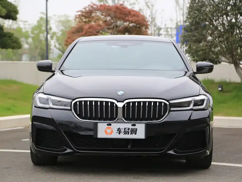 BMW 5 Series New Energy — фото 8