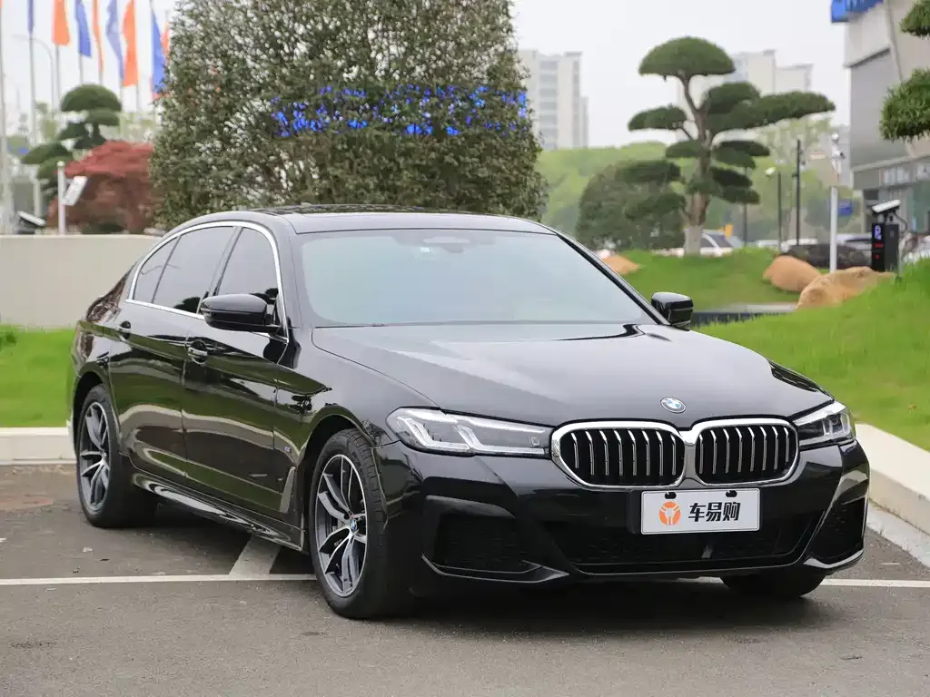 BMW 5 Series New Energy — фото 6