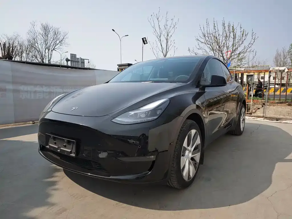 Tesla Model Y — фото 1