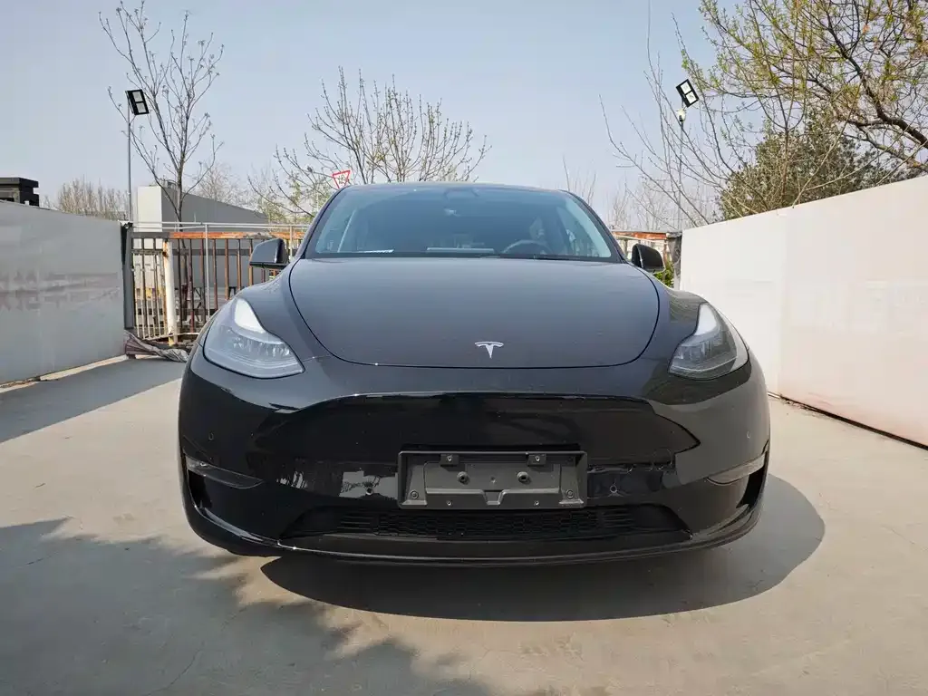 Tesla Model Y — фото 9