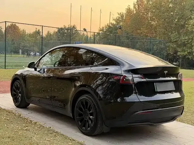 Tesla Model Y — фото 8