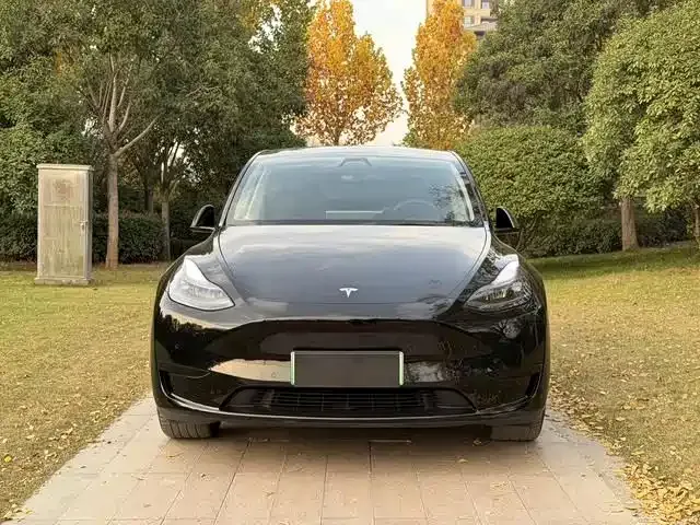 Tesla Model Y — фото 10