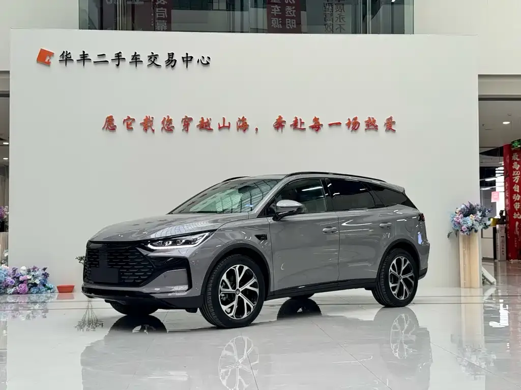 BYD Tang New Energy — фото 1