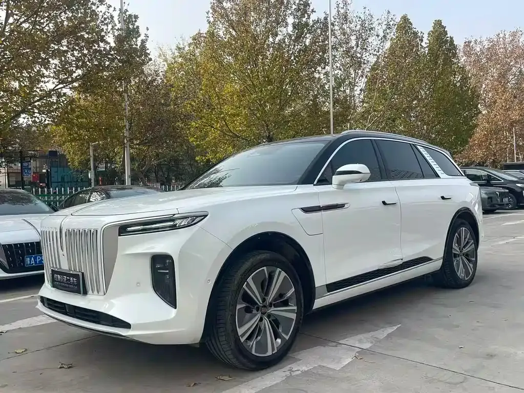 Hongqi E-HS9 — фото 5