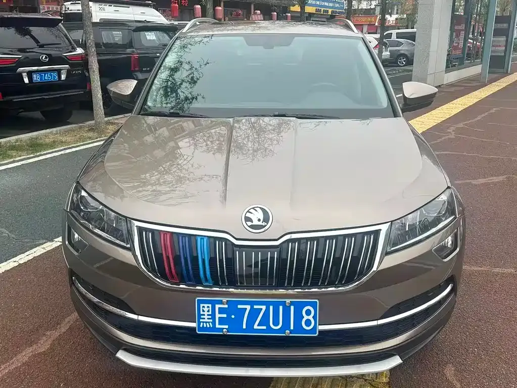 Skoda Karoq 2021 из CN, фото 9