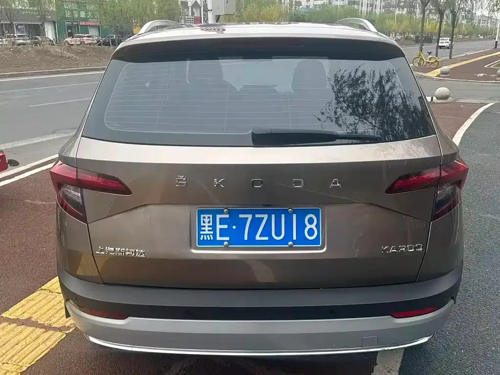 Skoda Karoq 2021 из CN, фото 8