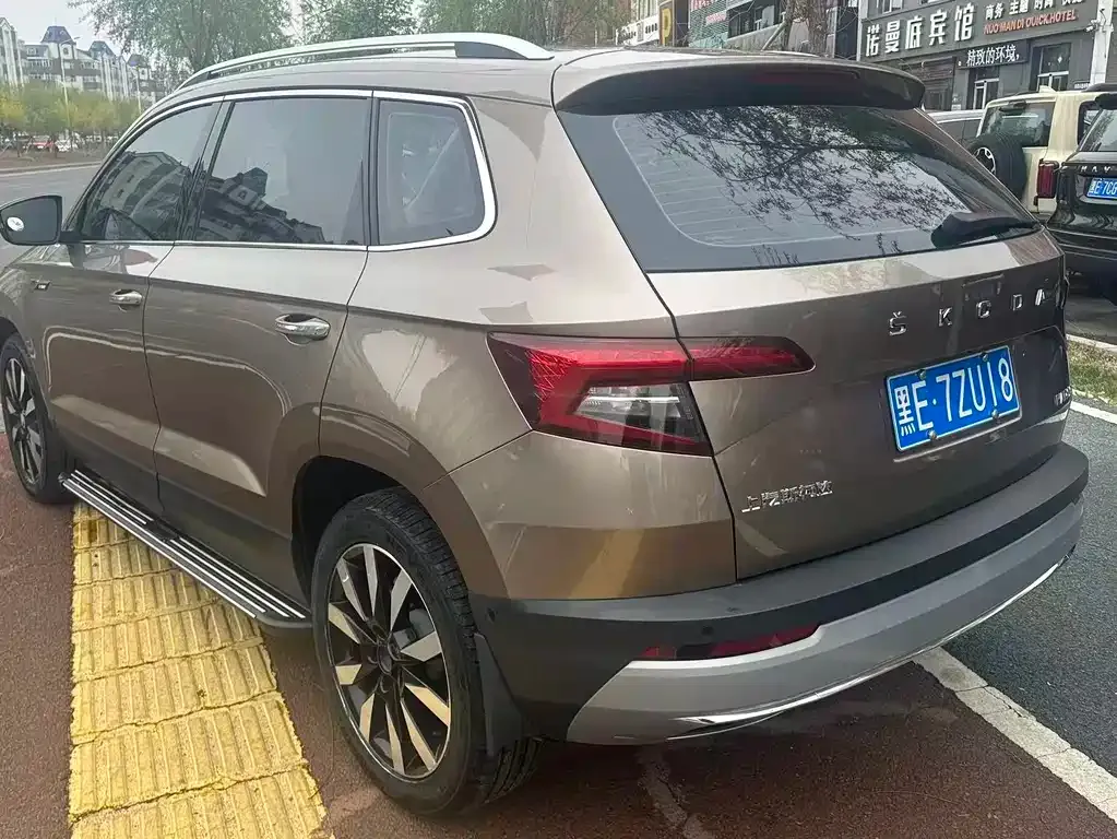 Skoda Karoq 2021 из CN, фото 5