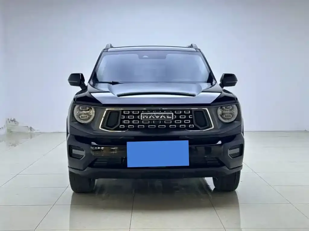 Haval Big Dog — фото 7