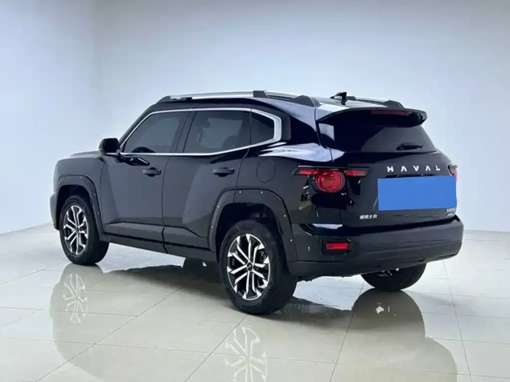 Haval Big Dog — фото 10