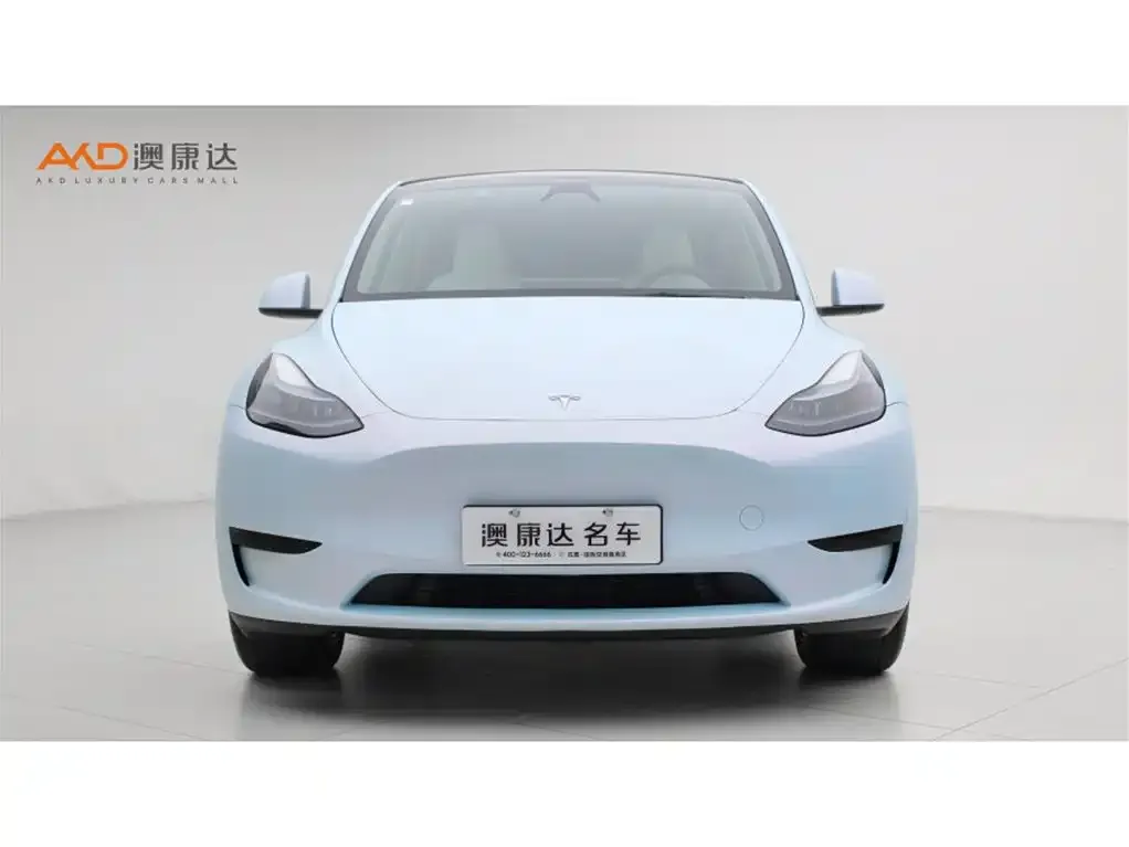 Tesla Model Y — фото 2