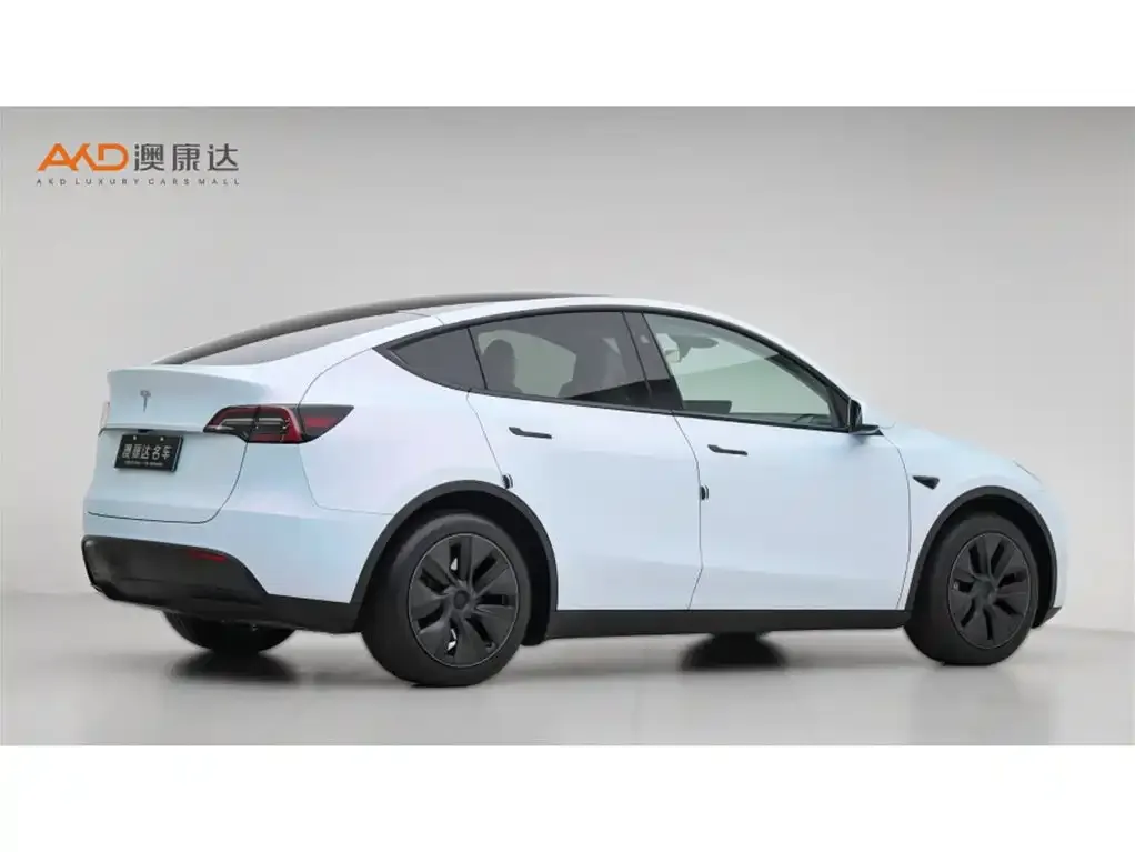 Tesla Model Y — фото 10