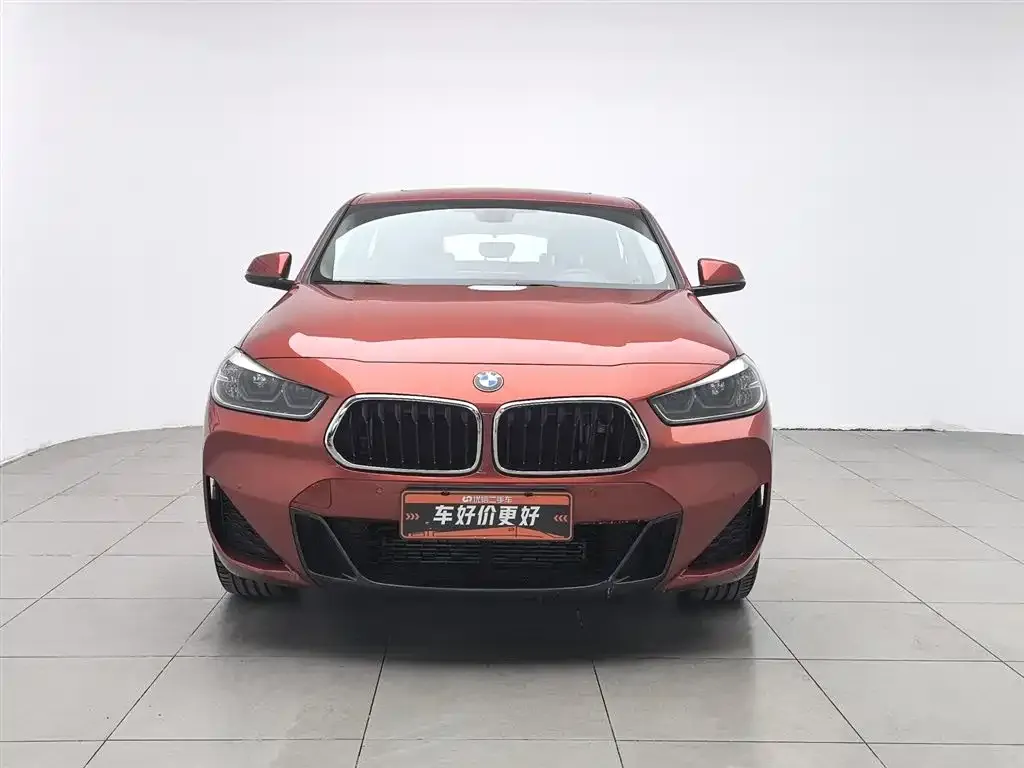 BMW X2 2022 из CN, фото 9