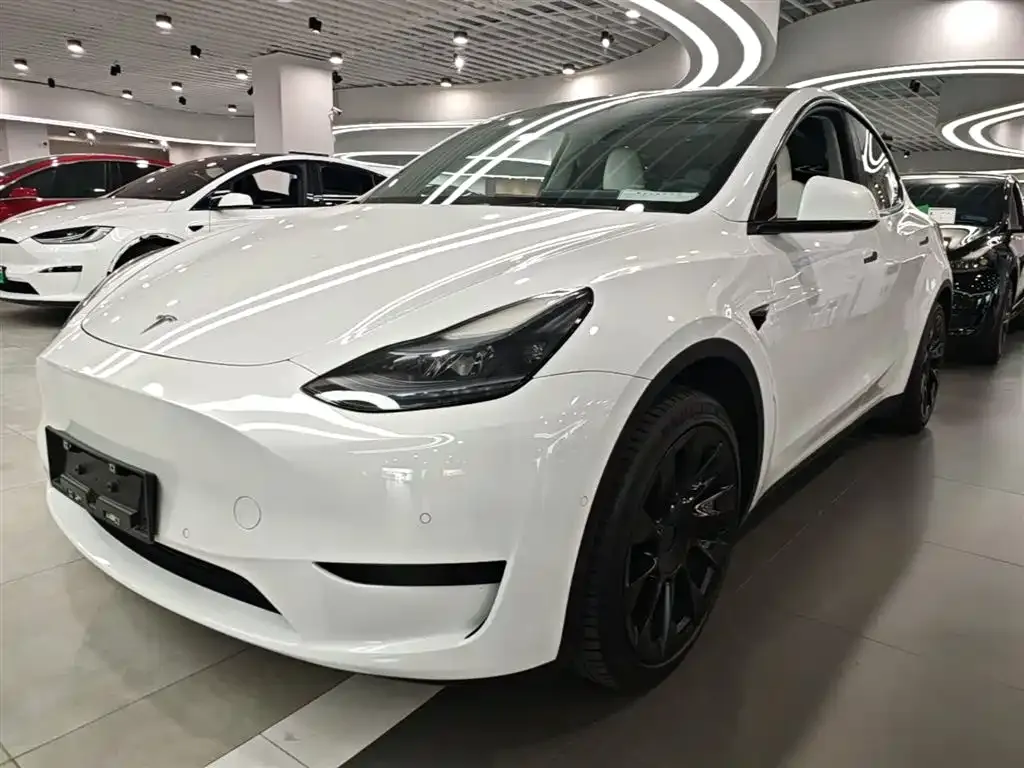 Tesla Model Y — фото 10