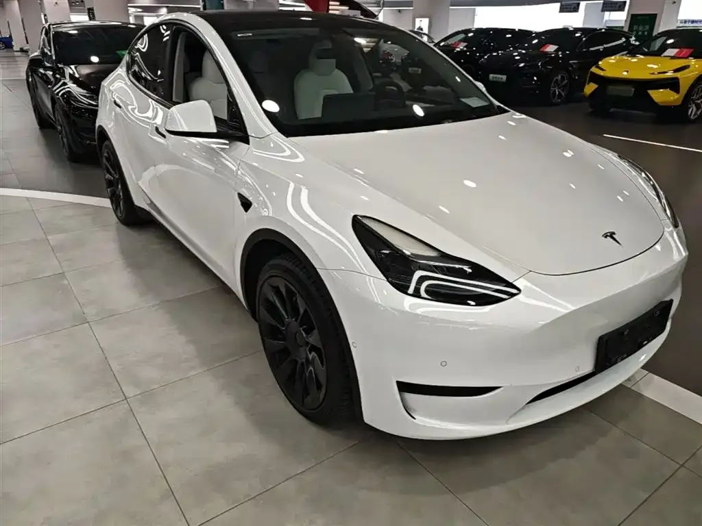 Tesla Model Y — фото 8