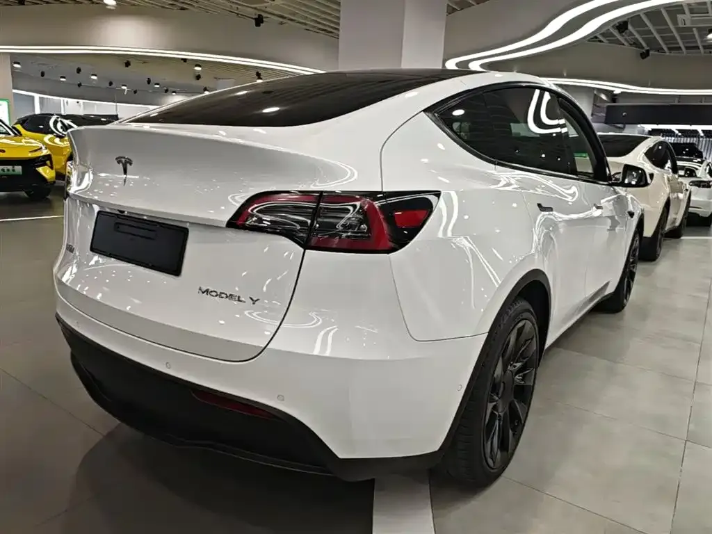 Tesla Model Y — фото 9