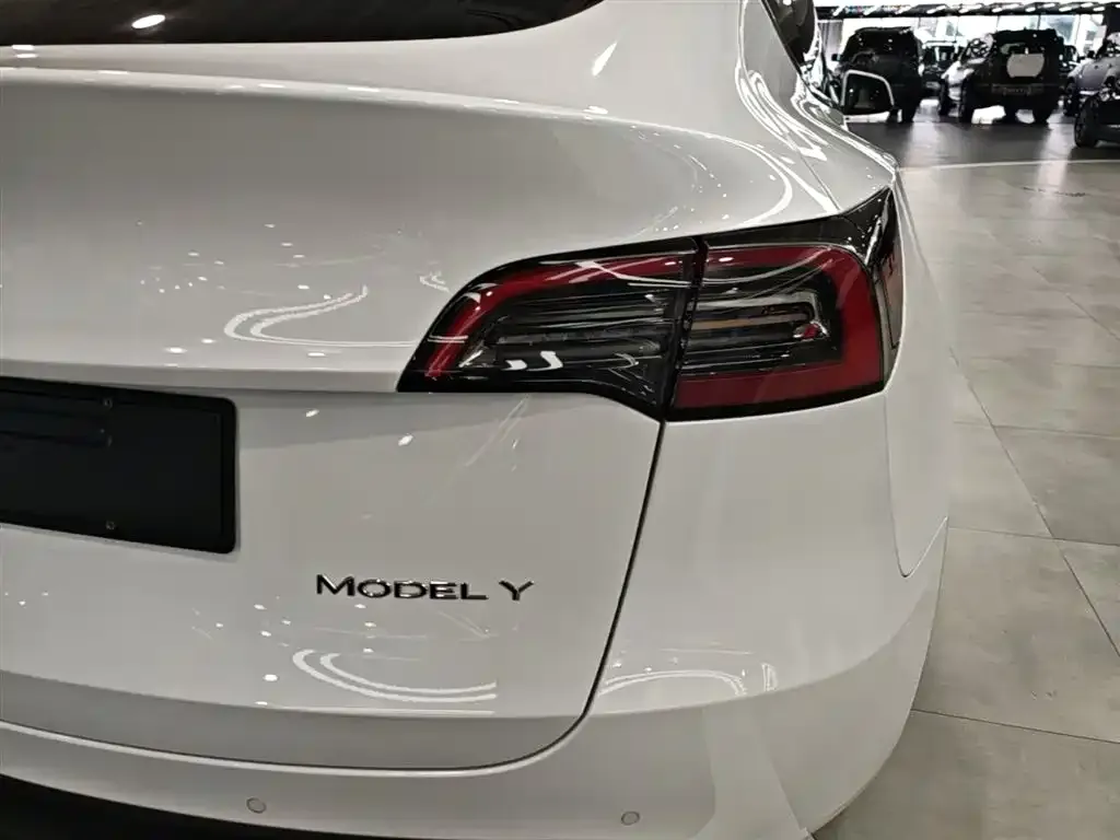 Tesla Model Y — фото 2