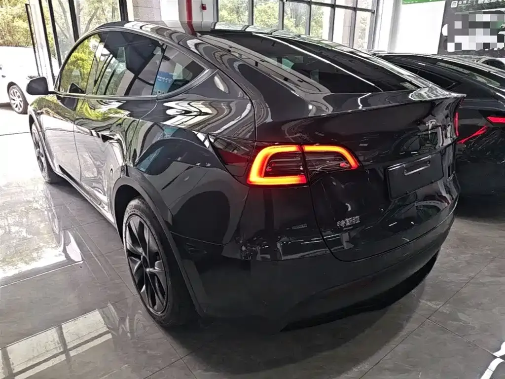 Tesla Model Y — фото 10