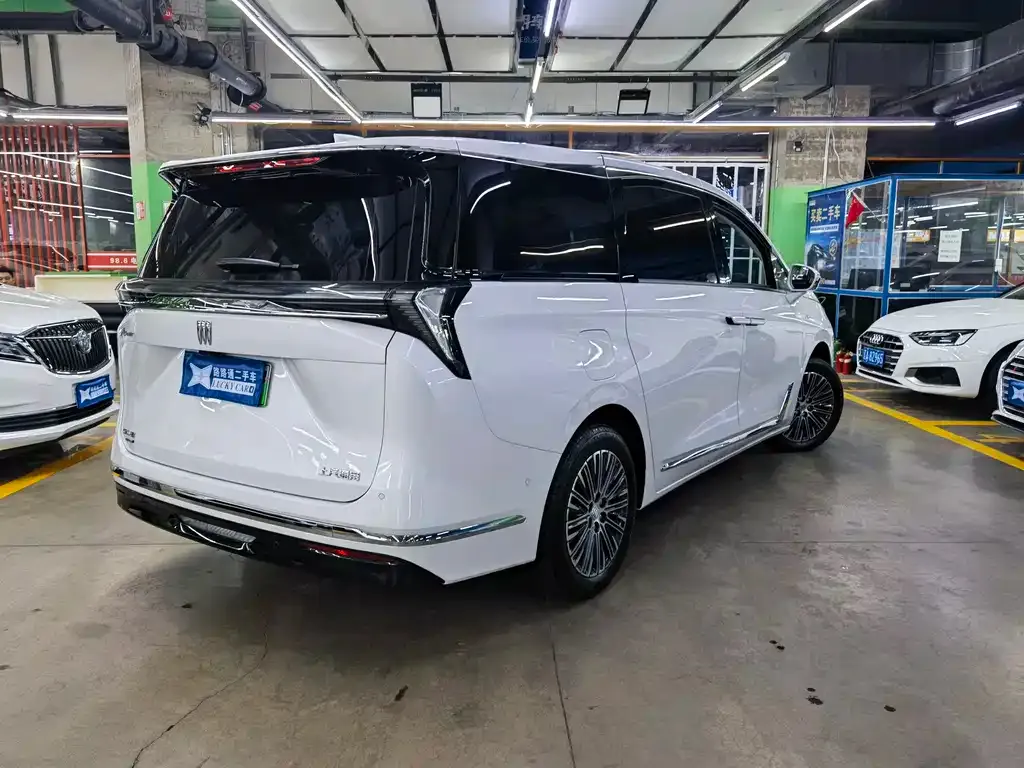 Buick GL8 Hybrid — фото 8