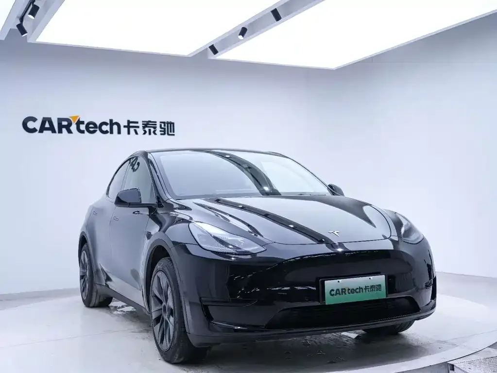 Tesla Model Y — фото 10