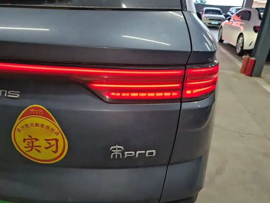 BYD Pro New Energy — фото 10