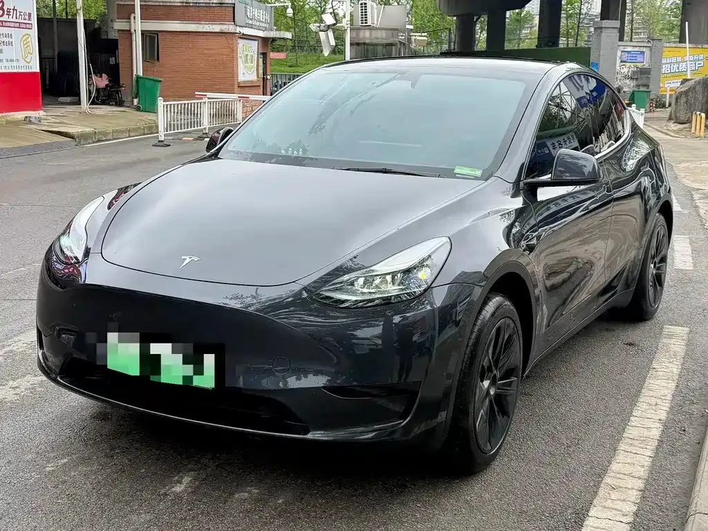 Tesla Model Y — фото 1