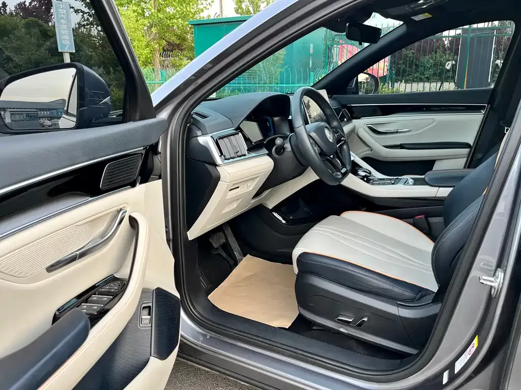 BYD PLUS New Energy — фото 10