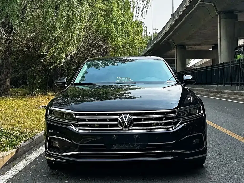 Volkswagen Phideon 2021 из CN, фото 9