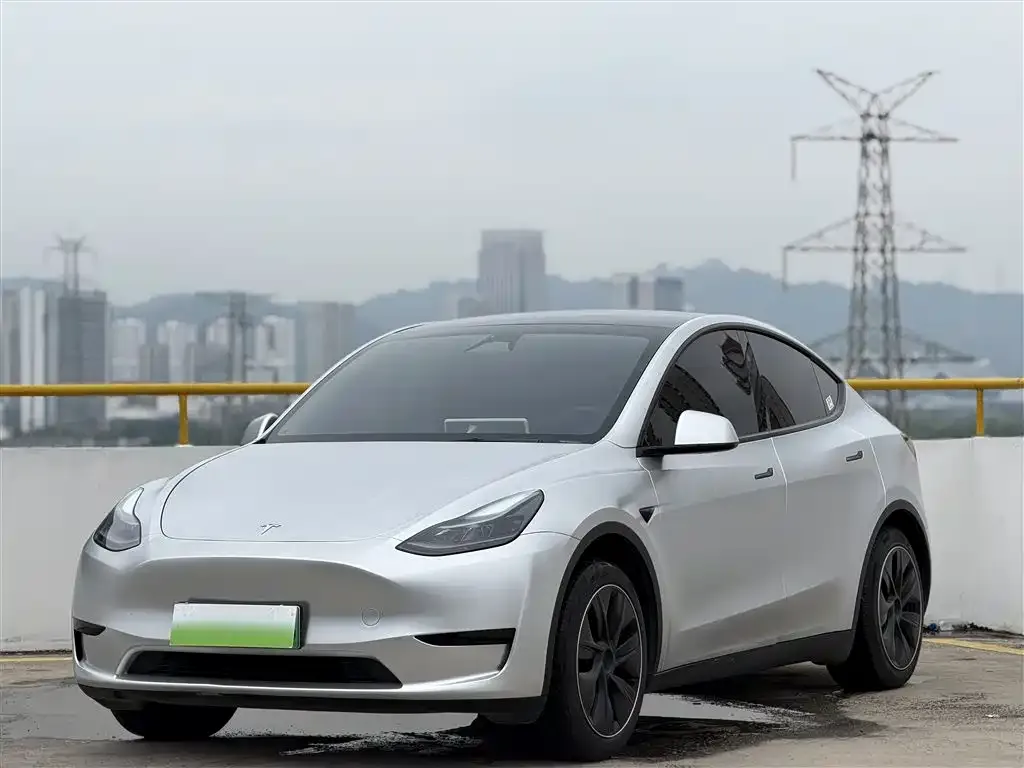 Tesla Model Y — фото 1