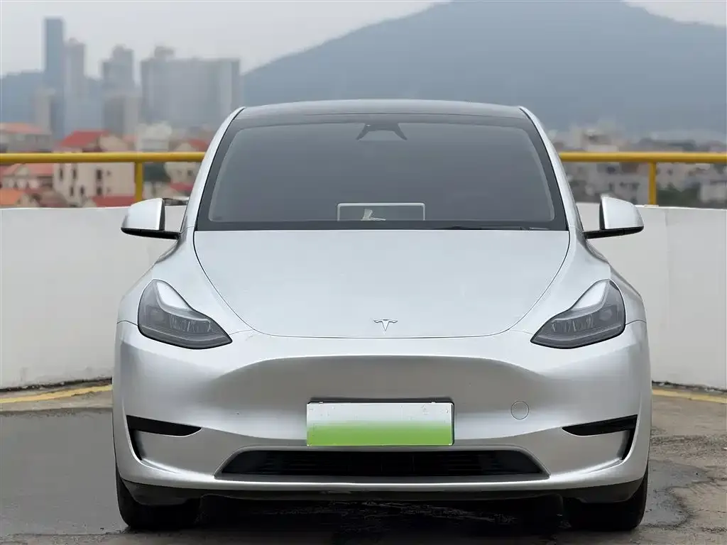 Tesla Model Y — фото 2