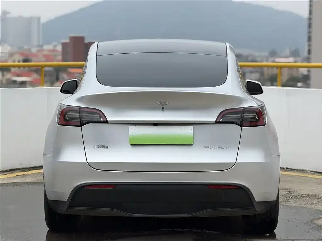 Tesla Model Y — фото 3