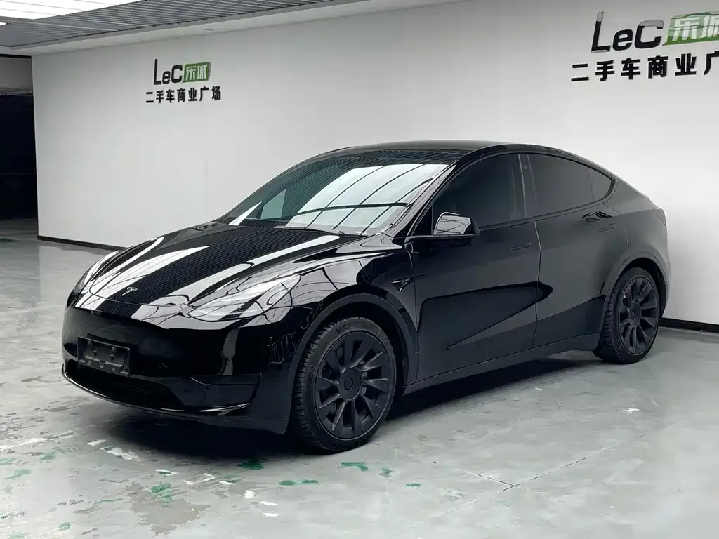 Tesla Model Y — фото 1