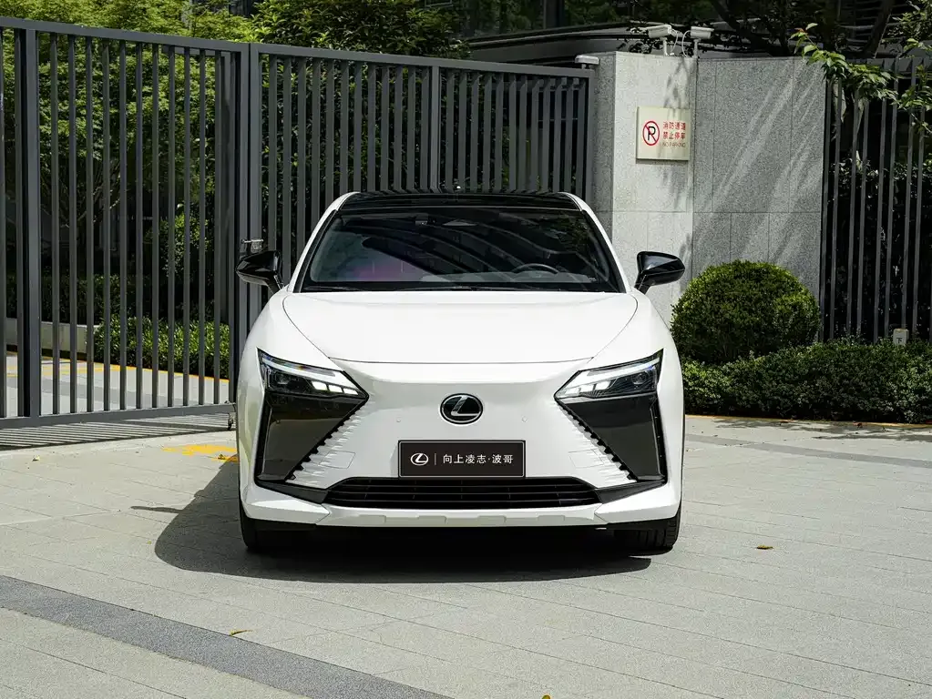 Lexus RZ — фото 6