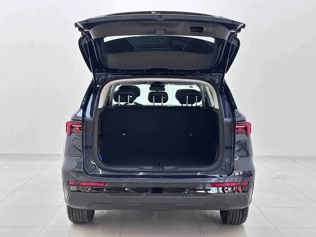 Ford Territory 2024 из CN, фото 4