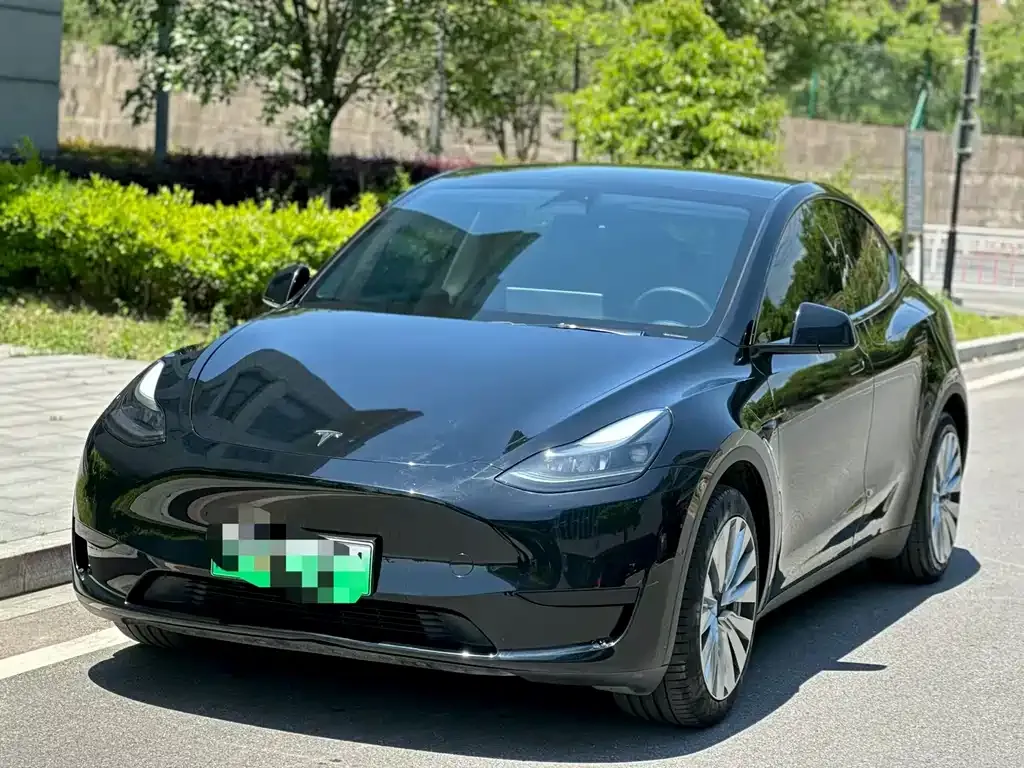 Tesla Model Y — фото 2