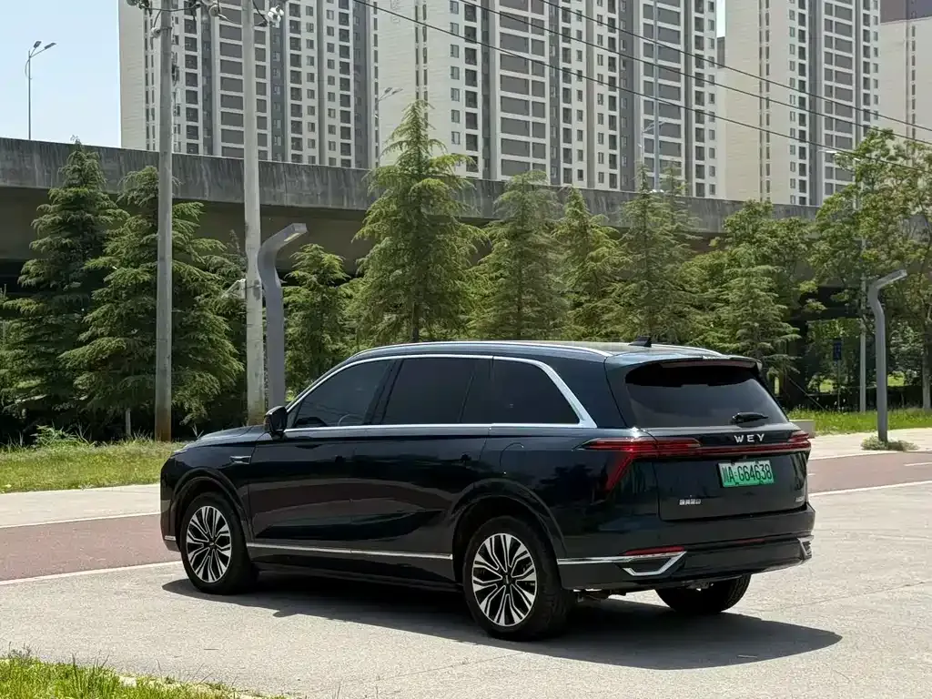 Wey Lanshan 2024 из CN, фото 6