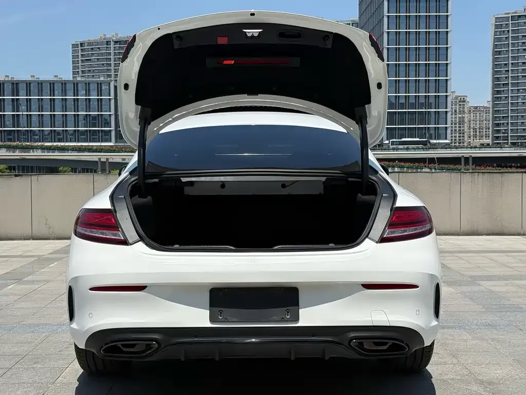 Mercedes-Benz C-Class (Import) — фото 8