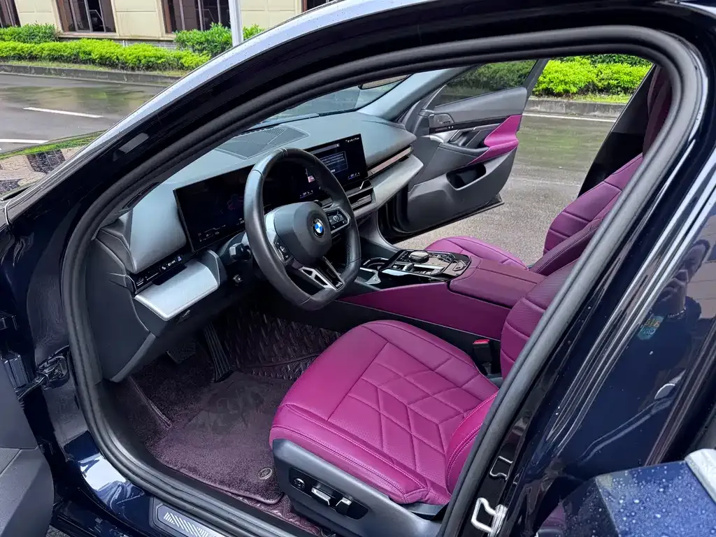 BMW 5 Series 2024 из CN, фото 6