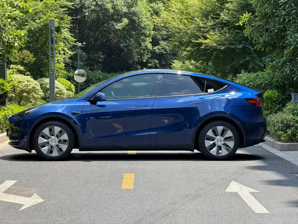 Tesla Model Y — фото 3