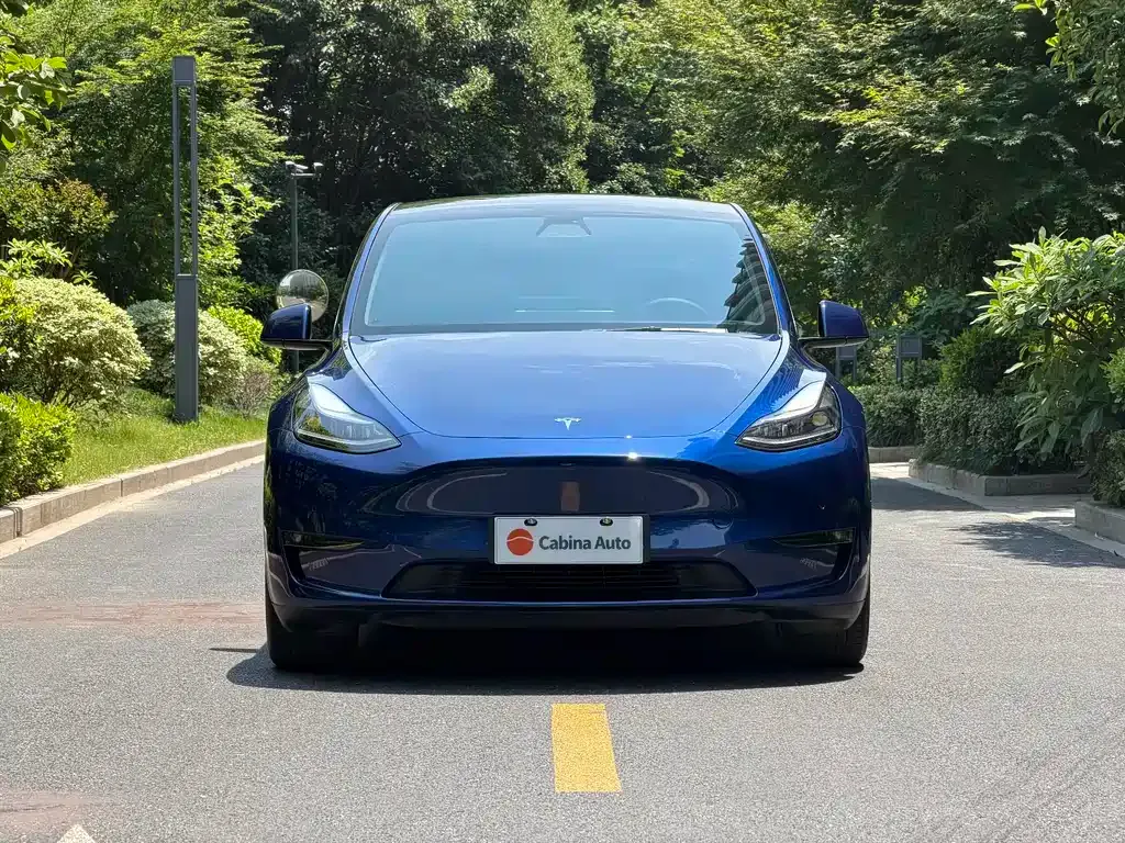 Tesla Model Y — фото 9