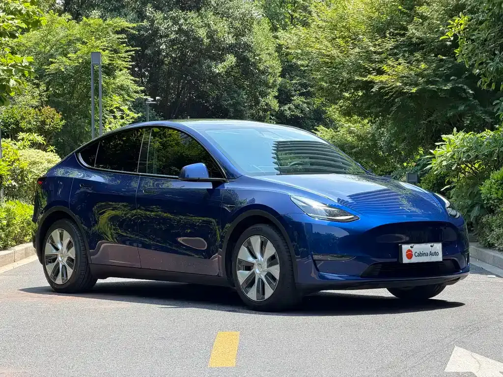 Tesla Model Y — фото 7