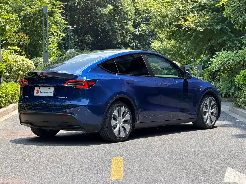 Tesla Model Y — фото 2