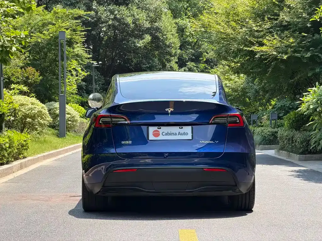 Tesla Model Y — фото 8