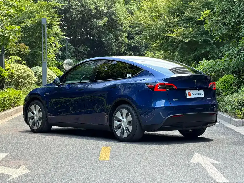 Tesla Model Y — фото 10